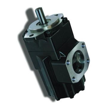 Genuine PARKER/JCB LOADALL Twin pompe hydraulique 20/925357 MADE in EU